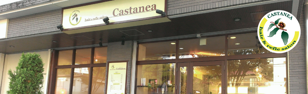 トップスライド1